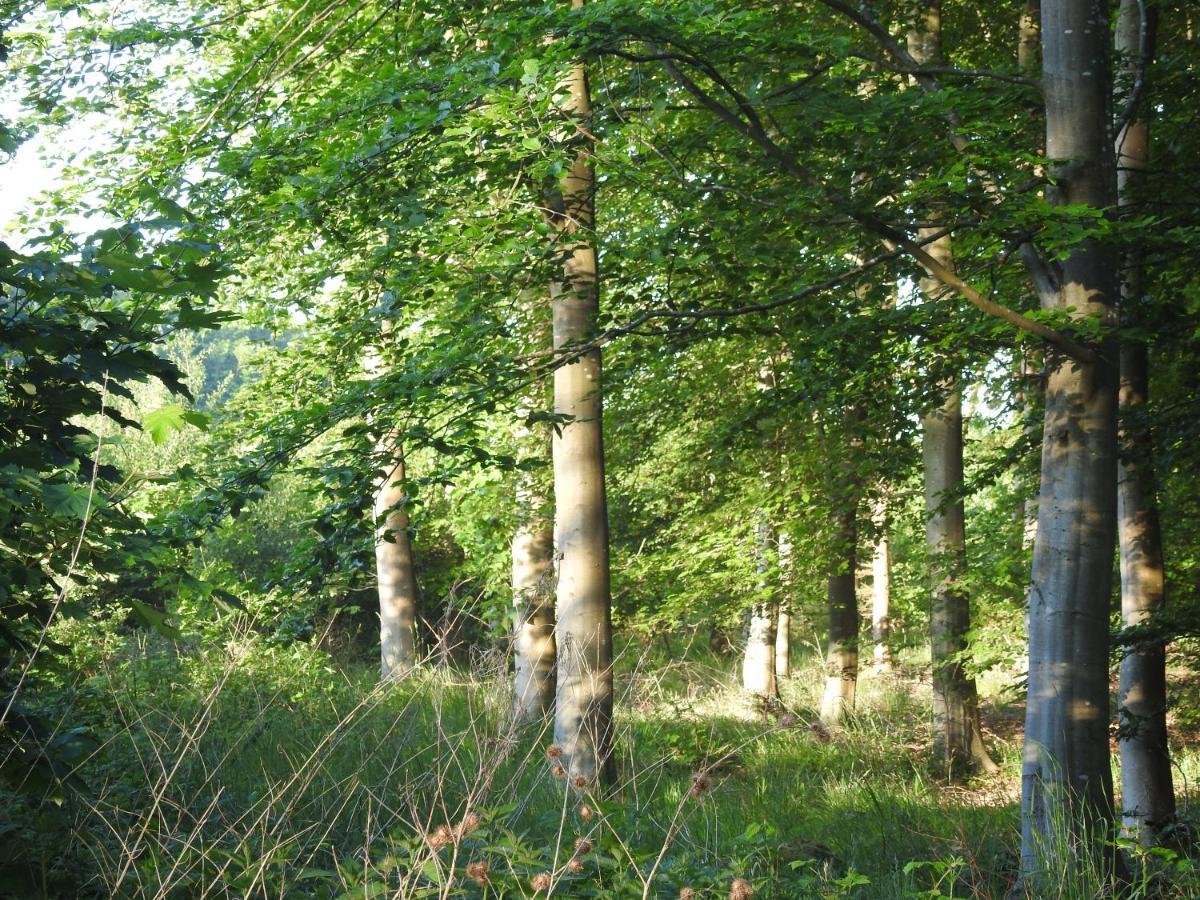 Aa Strand Camping Ebberup 외부 사진