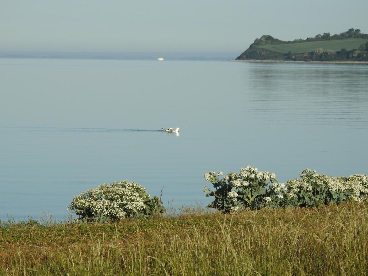 Aa Strand Camping Ebberup 외부 사진